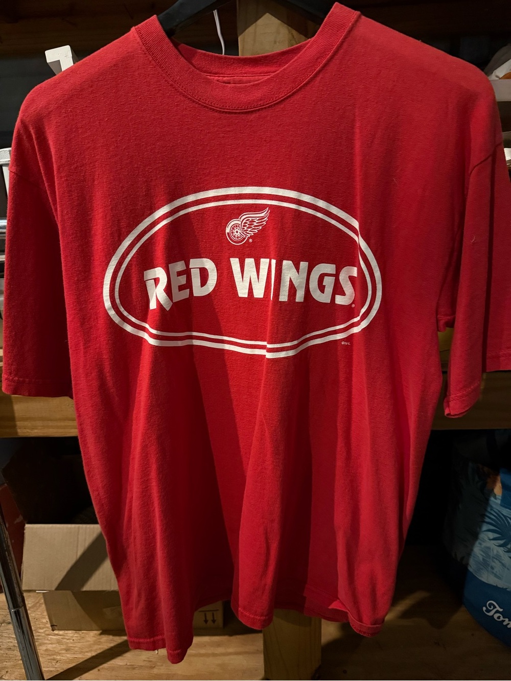 Detroit Red Wings Graphic T-Shirt - Red with White Logo